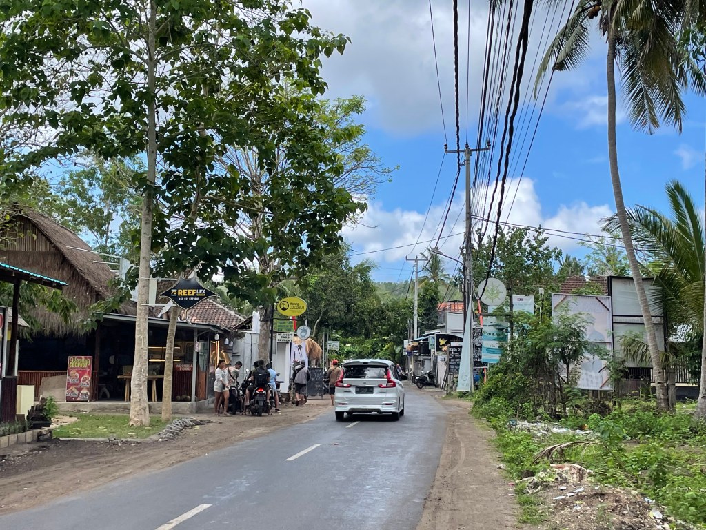 THE PALM IS THE LIMIT